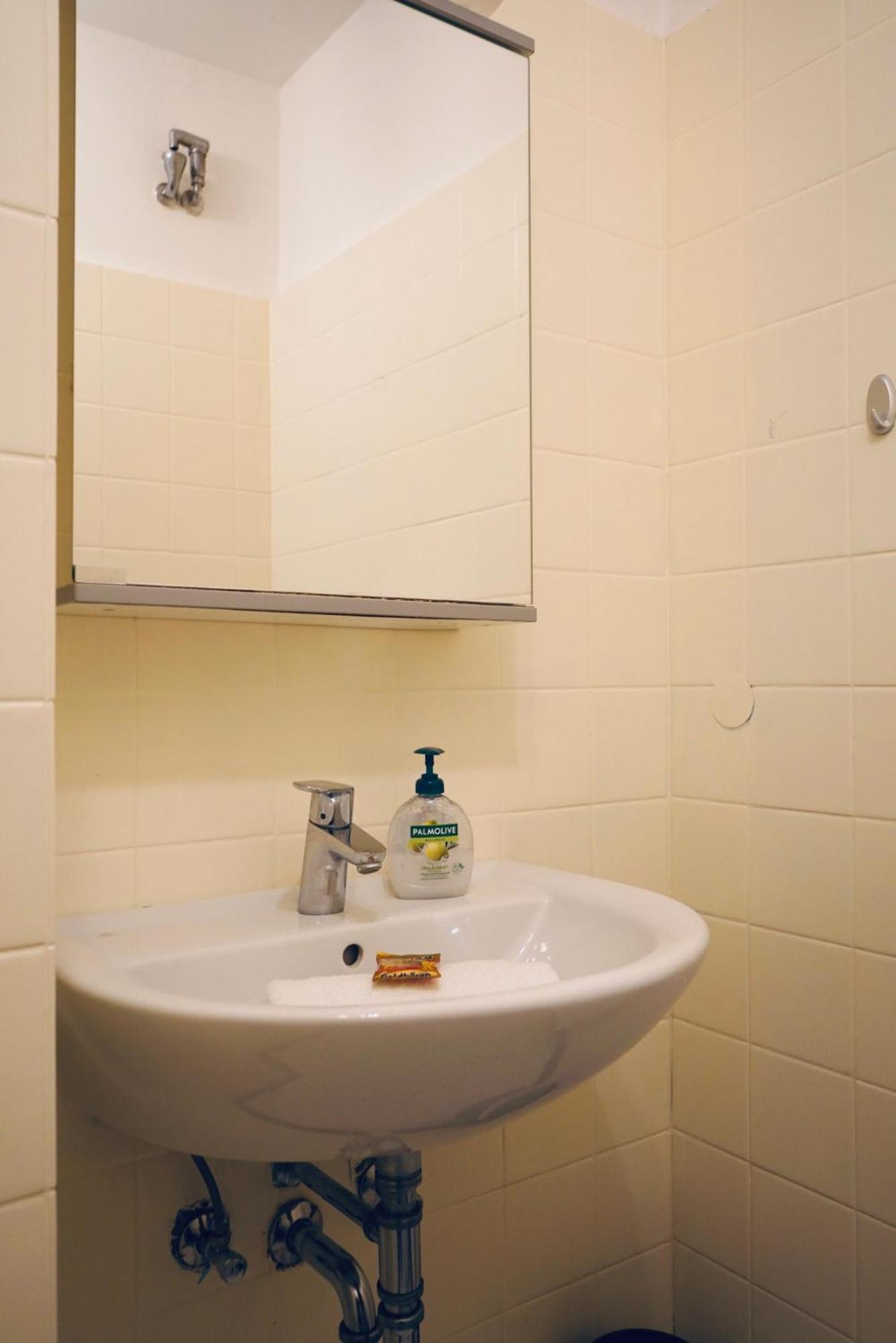 Apartment In Ruhiger Lage-Waschmaschine-Balkon Wolfsburg Ngoại thất bức ảnh